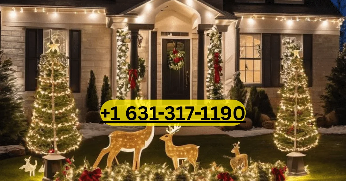 Christmas Lighting Offers in Florida